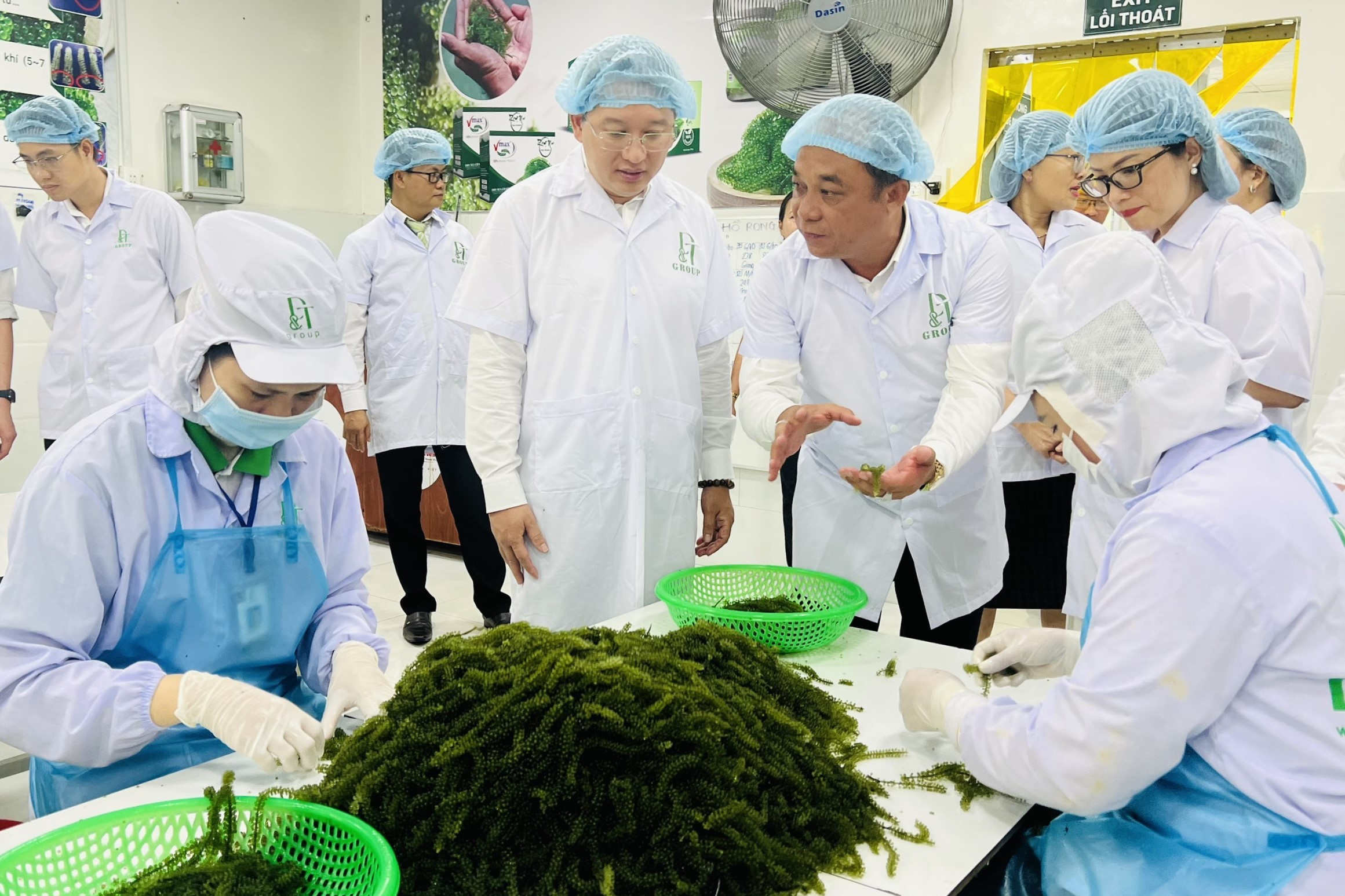 Khánh Hòa: Nâng tầm sản phẩm công nghiệp nông thôn tiêu biểu
