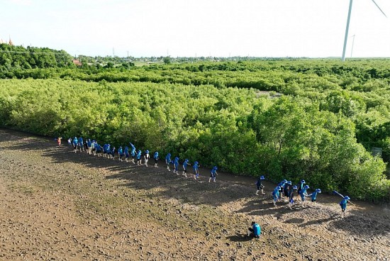 AQUA Việt Nam góp sức trồng rừng ngập mặn tại Sóc Trăng