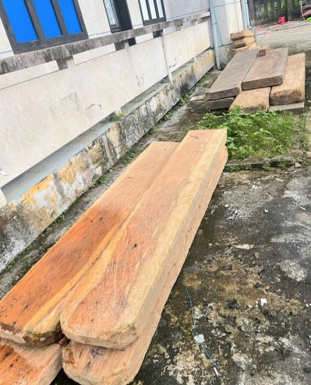 Thừa Thiên Huế: Bắt giữ 2 đối tượng vận chuyển lâm sản trái phép, thu giữ hàng trăm phách gỗ lậu