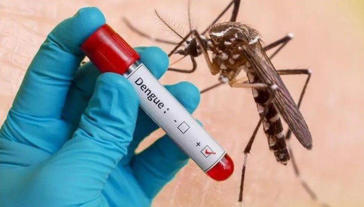 Tổ chức Y tế thế giới ra cảnh báo mới về bệnh sốt xuất huyết