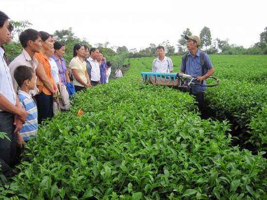 Tuyên Quang: Hỗ trợ đào tạo nghề cho lao động nông thôn