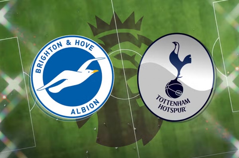 Trận đấu giữa Brighton và Tottenham sẽ diễn ra lúc 02h30 ngày 29/12 trong khuôn khổ vòng 19 Ngoại hạng Anh.