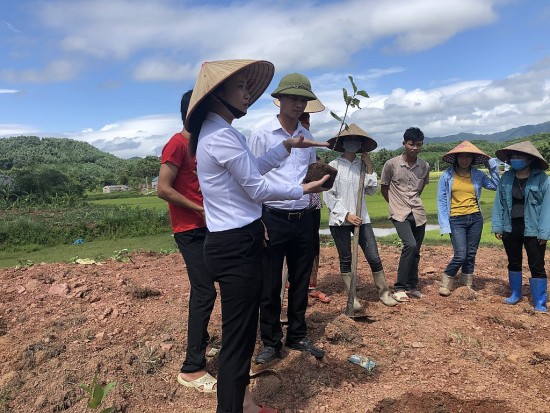 Quảng Ninh: Nâng cao chất lượng đào tạo nghề cho lao động nông thôn