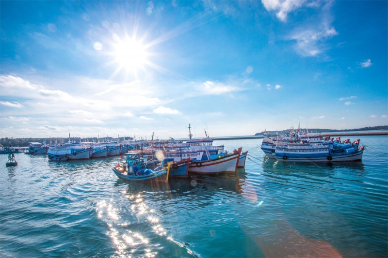 Bình Thuận: Ưu tiên phát triển loạt cảng biển