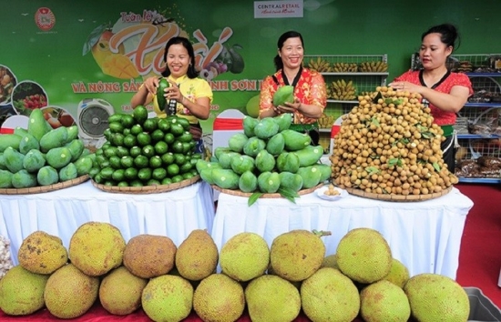 Sơn La: Phát triển nông sản chất lượng cao gắn với thương hiệu địa phương