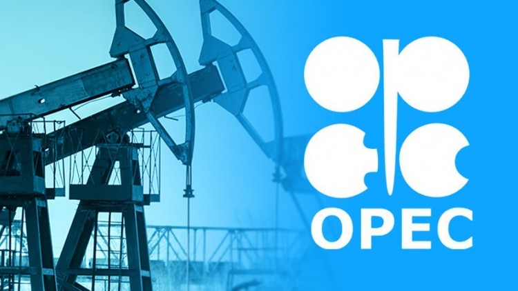 OPEC có “động thái mới” về nhu cầu dầu toàn cầu năm 2024 và 2025