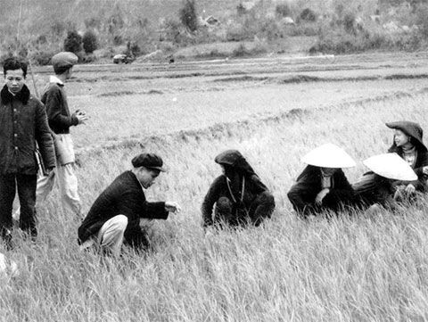 Bí thư “khoán hộ” và vị thế của nông sản Việt Nam