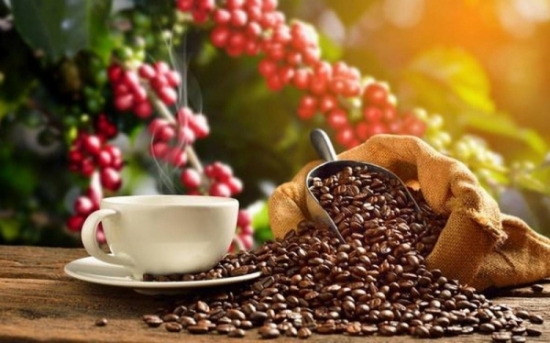 Giá xuất khẩu cà phê năm 2024 được dự báo ra sao?