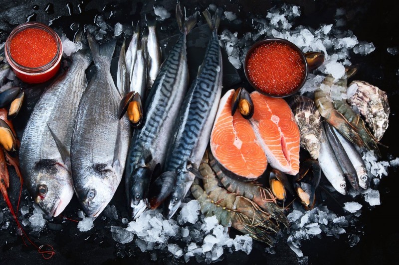 Cá biển là một trong những thực phẩm tốt cho sức khỏe vì nó chứa nhiều chất dinh dưỡng