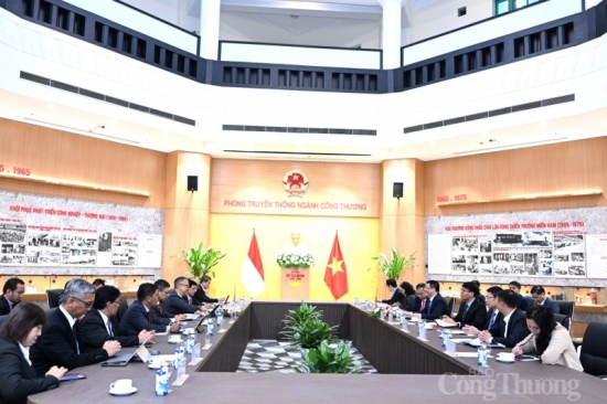 Việt Nam - Indonesia: Thúc đẩy hợp tác trong các ngành công nghiệp tiềm năng