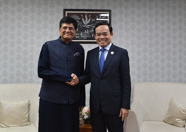 Thúc đẩy quan hệ hợp tác kinh tế, thương mại và đầu tư bền vững Việt Nam - Ấn Độ