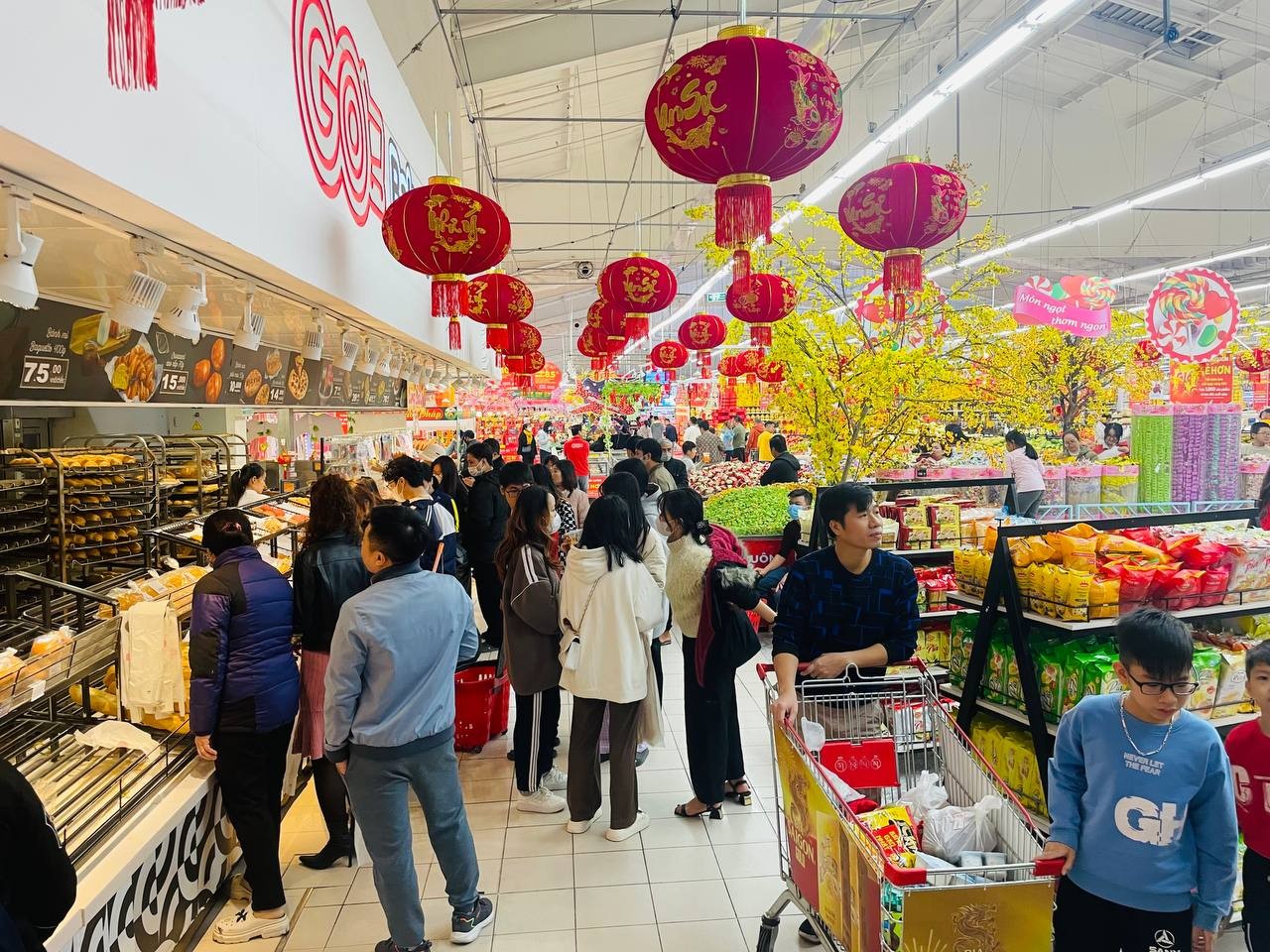 Người tiêu dùng hào hứng mua sắm Tết ở hệ thống siêu thị GO!