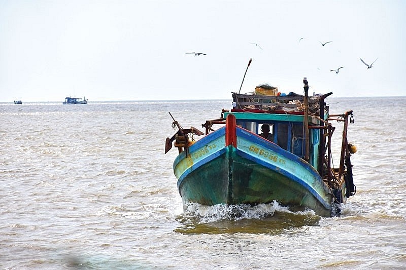 Tàu cá ngư dân trên vùng biển Cà Mau (ảnh minh họa)