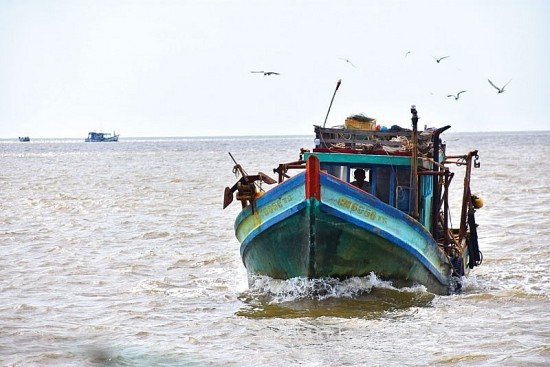 Xử lý tình trạng tranh chấp ngư trường trên vùng biển tỉnh Cà Mau