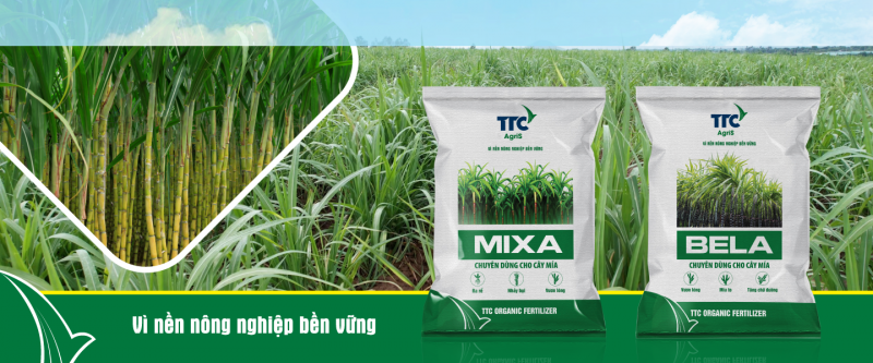 TTC AgriS đầu tư Phân hữu cơ vi sinh để cải tạo và tăng độ phì nhiêu cho đất. Đối với các diện tích đất triền đồi, nhiều đá, khó áp dụng cơ giới, Công ty đưa ra phương pháp trồng mía rãnh để người nông dân đảm bảo năng suất.