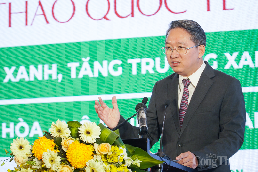 Nha Trang định hướng xanh hóa các ngành kinh tế
