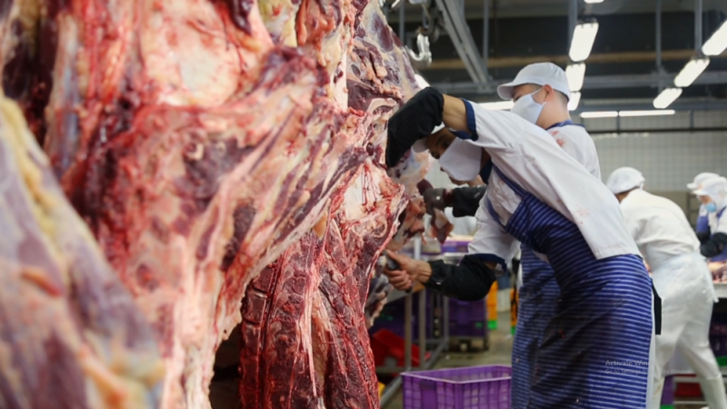 Lợn nhập lậu tăng đột biến, Hiệp hội Chăn nuôi Đồng Nai kêu cứu