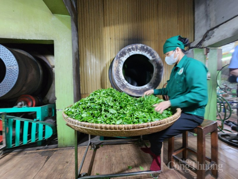 Thái Nguyên phạt vi phạm an toàn thực phẩm trên 1,1 tỷ đồng năm 2023