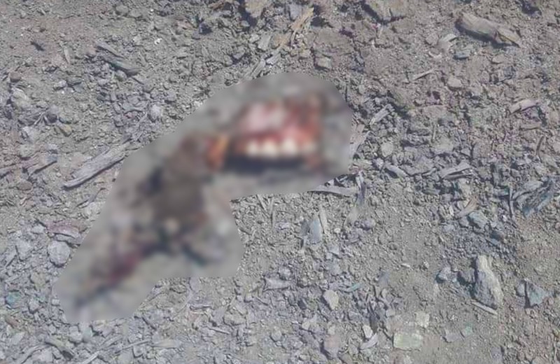 Cà Mau: 3 người mất tích trên sông Cửa Lớn đã tử vong do cưa bom