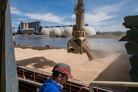 WTO: Lúa mì vận chuyển qua kênh đào Suez giảm gần 40%