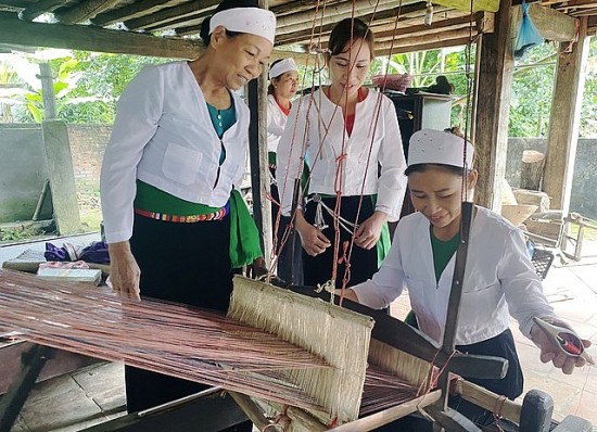 Phú Thọ: Phát triển kinh tế - xã hội vùng đồng bào dân tộc thiểu số và miền núi