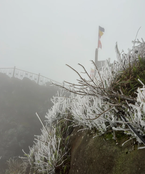 Quảng Ninh: Nhiệt độ giảm sâu, băng tuyết phủ trắng chùa Đồng trên đỉnh Yên Tử