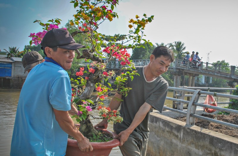 Từ khi được công nhận làng nghề vào năm 2022, sản phẩm của làng nghề hoa giấy ở xã Tân Dương (huyện Lai Vung, tỉnh Đồng Tháp) càng được khách hàng nhiều nơi biết đến.