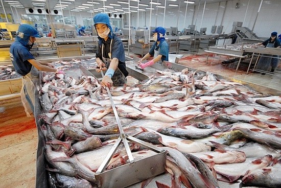 Việt Nam vẫn là nhà cung cấp cá thịt trắng số 1 cho Brazil
