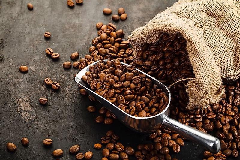 Lo ngại thiếu hụt nguồn cung cục bộ, giá cà phê xuất khẩu tiếp tục nằm ở vùng giá cao nhất