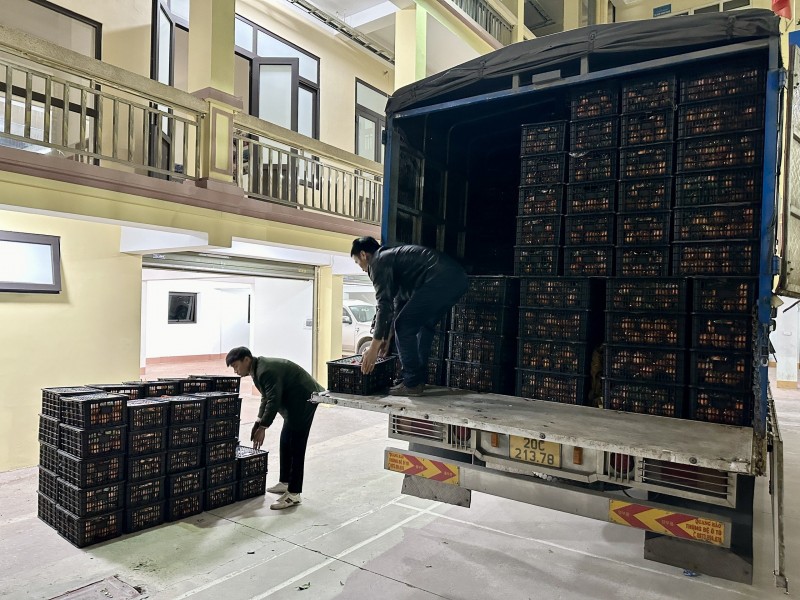 Thái Nguyên: Phát hiện, ngăn chặn 2 xe tải chở 6 tấn hoa quả nhập lậu
