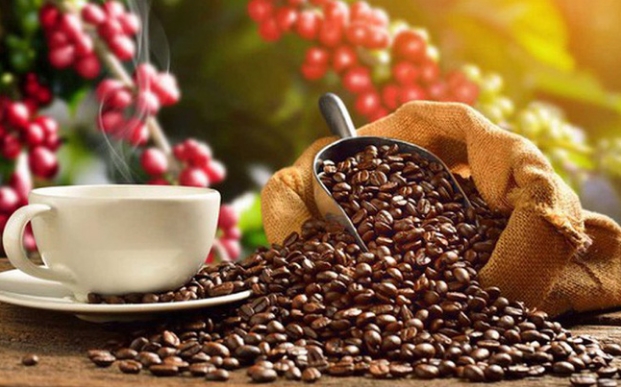 Căng thẳng Biển Đỏ kéo giá cà phê xuất khẩu neo ở đỉnh