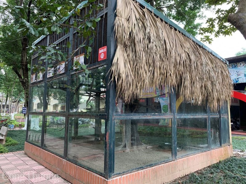 Mục sở thị Vườn thú Hà Nội đốt lửa, căng bạt chống rét cho động vật