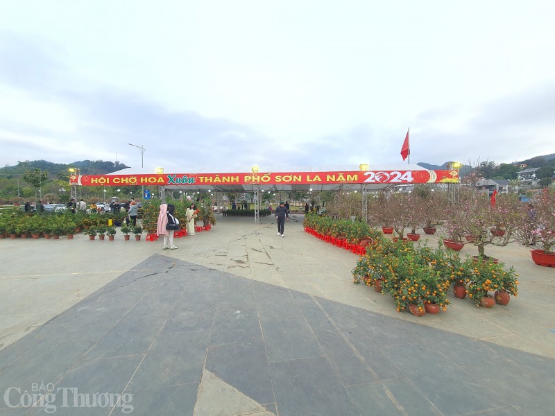 Rộn ràng chợ hoa Xuân giữa lòng thành phố Sơn La