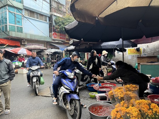 Cách chọn cá đẹp, khỏe cúng ông Công ông Táo