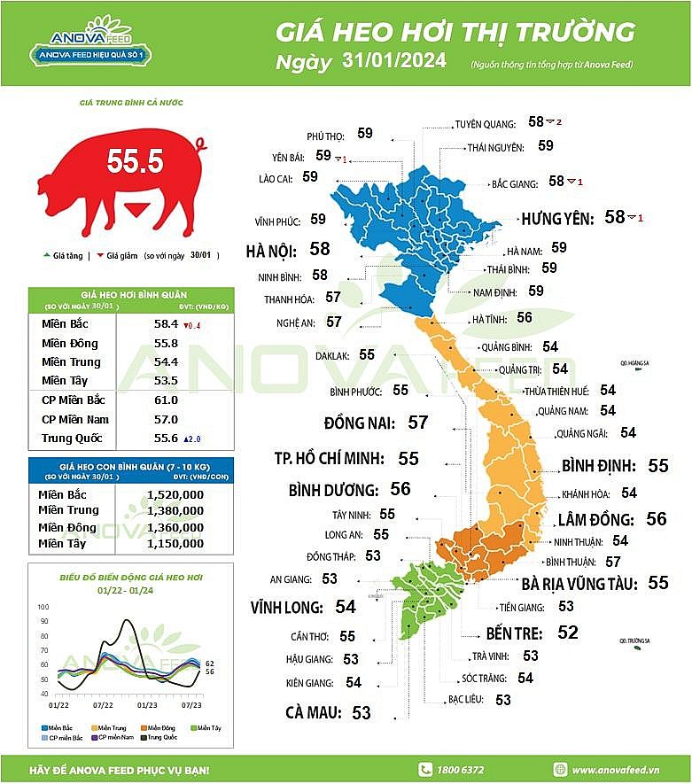 Biến động giá heo hơi