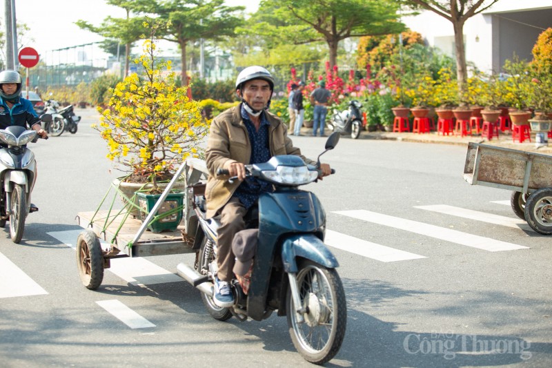 Đà Nẵng: Chợ hoa Xuân bắt đầu nhộn nhịp