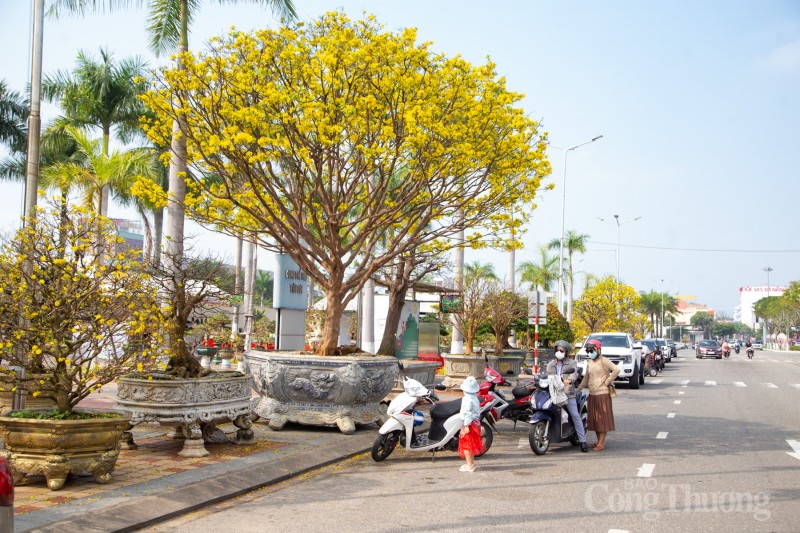 Đà Nẵng: Chợ hoa Xuân bắt đầu nhộn nhịp