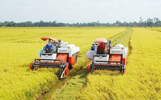“Luồng gió mới" thể hiện quyết tâm của Chính phủ từng bước hiện đại hoá ngành sản xuất lúa gạo