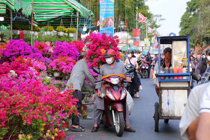 Rực rỡ sắc xuân trên những đường hoa Tết tại TP. Hồ Chí Minh