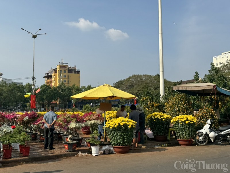 Đắk Lắk: Chợ hoa Xuân đìu hiu, tiểu thương giảm giá sâu vẫn ít khách mua