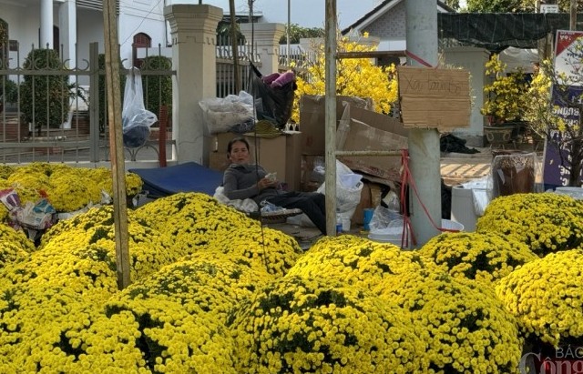 Đắk Lắk: Chợ hoa Xuân đìu hiu, tiểu thương giảm giá sâu vẫn ít khách mua