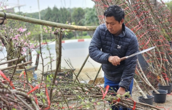 Hà Nội: Mới 29 Tết tiểu thương đã phá cây vì… xả lỗ vẫn ế khách