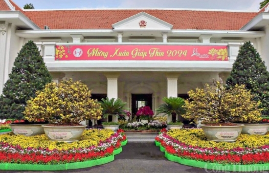 Sóc Trăng và Đồng Tháp mở cửa khuôn viên trụ sở UBND tỉnh đón người dân đến chơi Tết