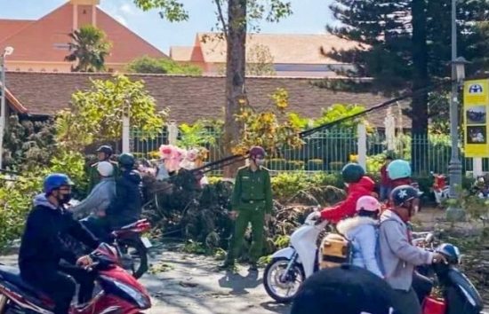 Đắk Lắk: Cô gái bán hoa dịp lễ không may bị cây đè đã tử vong