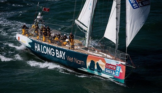 Sắp diễn ra Giải đua thuyền buồm Clipper Race tại Quảng Ninh