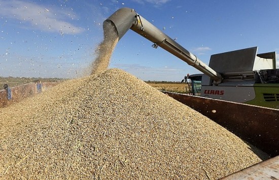 Nga đặt mục tiêu khôi phục xuất khẩu gạo; Thái Lan muốn tăng ngân sách cho nông nghiệp