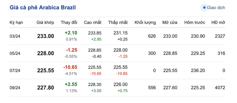 Giá cà phê 16/2, giá cà phê trong nước ngày 16/2/2024
