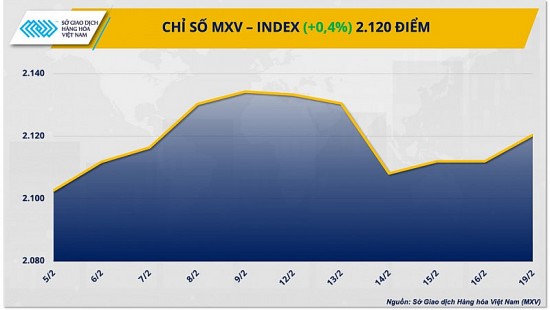 Thị trường hàng hóa hôm nay ngày 20/2/2024: Thị trường hàng hóa thế giới trầm lắng trong ngày nghỉ lễ President