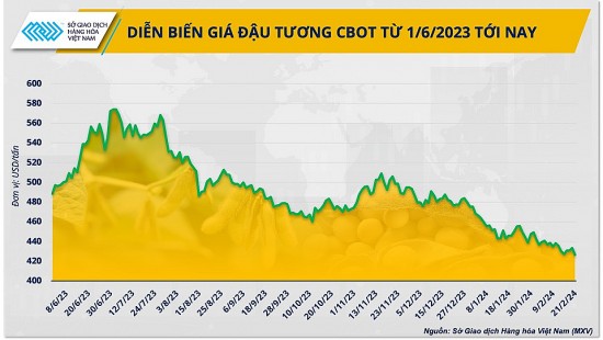 Đậu tương Argentina sẽ hấp dẫn các doanh nghiệp chăn nuôi trong năm 2024