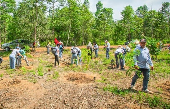 Đồng Nai phấn đầu hoàn thành chỉ tiêu trồng gần 4,7 triệu cây xanh